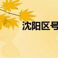 沈阳区号110怎么报警（沈阳区号）