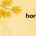 horner怎么读（horner）