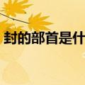 封的部首是什么部首结构（封的部首是什么）