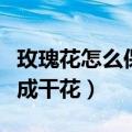 玫瑰花怎么保存成干花泡茶（玫瑰花怎么保存成干花）