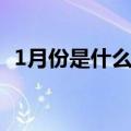 1月份是什么星座男生（1月份是什么星座）