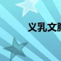 义乳文胸该怎么选择（义乳文胸）