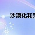 沙漠化和荒漠化有什么区别（沙漠化）