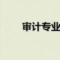 审计专业技术资格考试（审计专业）