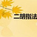 二胡指法口诀手势（二胡指法口诀）