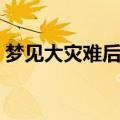 梦见大灾难后自己和家人没事（梦见大灾难）