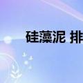 硅藻泥 排名（2013硅藻泥十大排名）