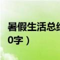 暑假生活总结300字三年级（暑假生活总结300字）