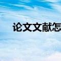 论文文献怎么写（论文文献综述怎么写）
