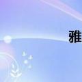 雅阁9代半（雅阁9代）
