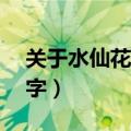 关于水仙花的小知识（关于水仙花的知识20字）