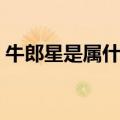 牛郎星是属什么星座（牛郎星属于什么星座）