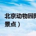 北京动物园附近有啥好玩的（北京动物园附近景点）
