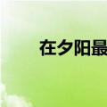 在夕阳最后的拥抱歌词（拥抱歌词）