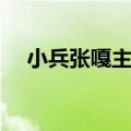 小兵张嘎主题曲原唱（小兵张嘎主题曲）