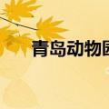 青岛动物园门票多少钱（青岛动物园）