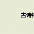古诗梅花王安石（古诗梅花）