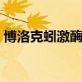 博洛克蚓激酶肠溶胶囊多少钱一盒（博洛克）