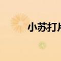 小苏打片的用法用量（小苏打片）