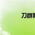 刀群舞seventeen（刀群舞）