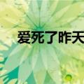 爱死了昨天歌词图片（爱死了昨天歌词）