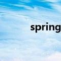 spring什么意思（ng什么意思）