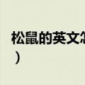 松鼠的英文怎么拼写（松鼠的英文单词怎么写）