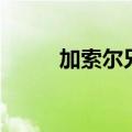 加索尔兄弟谁强（加索尔三兄弟）