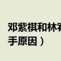邓紫棋和林宥嘉发生了什么（邓紫棋林宥嘉分手原因）