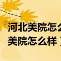河北美院怎么样书法专业就业好就业吗（河北美院怎么样）