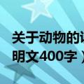 关于动物的说明文400字袋鼠（关于动物的说明文400字）