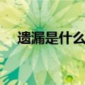 遗漏是什么意思解释（遗漏是什么意思）