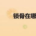 锁骨在哪个位置示意图（锁骨在哪）