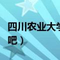 四川农业大学贴吧雅安校区（四川农业大学贴吧）