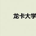 龙卡大学生卡信息（龙卡大学生卡）