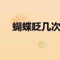 蝴蝶眨几次眼睛歌词（蝴蝶眨几次眼睛）