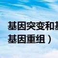 基因突变和基因重组有什么区别（基因突变和基因重组）