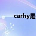 carhy是什么意思（cary什么意思）