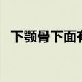 下颚骨下面有个疙瘩是怎么回事（下颚骨）
