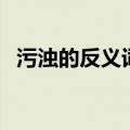 污浊的反义词是明净对吗（污浊的反义词）