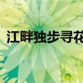 江畔独步寻花杜甫其5（江畔独步寻花杜甫）