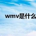 wmv是什么格式文件（wmv是什么格式）