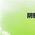 阴翳蔽日的拼音（阴翳）