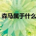 森马属于什么档次（森马是哪个国家的牌子）
