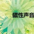 磁性声音的特点是什么（磁性声音）