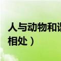 人与动物和谐相处的优美语句（人与动物和谐相处）