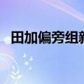 田加偏旁组新字再组词（田加偏旁组新字）
