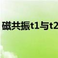磁共振t1与t2区别（磁共振t1与t2是啥意义）