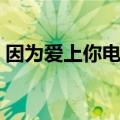因为爱上你电视剧全集（因为爱上你电视剧）