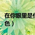 在你眼里是什么颜色的（在你眼里我是什么颜色）